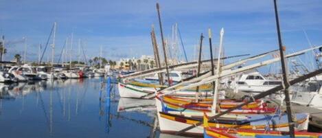A marina with various boats docked.