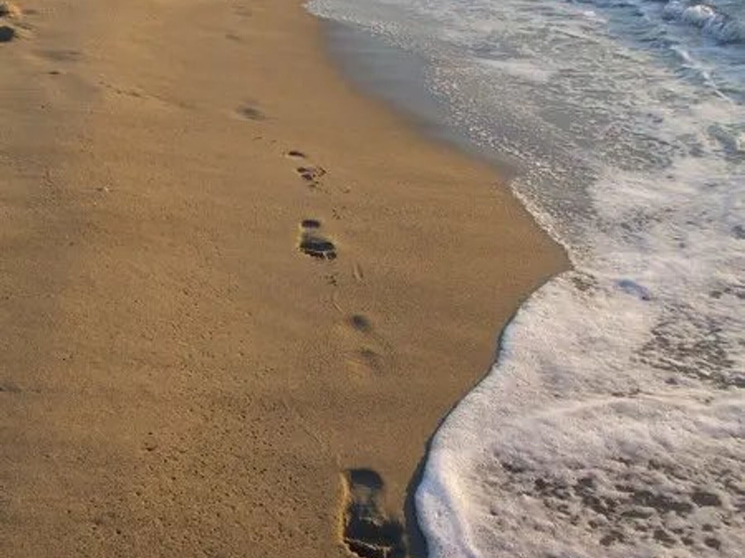 Een zanderig strand met voetafdrukken die het water ingaan.