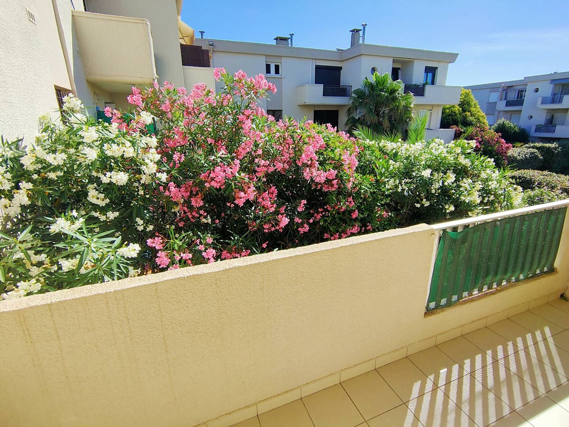 A balcony with a variety of flowering plants, a tiled floor, and a building with multiple balconies in the background.