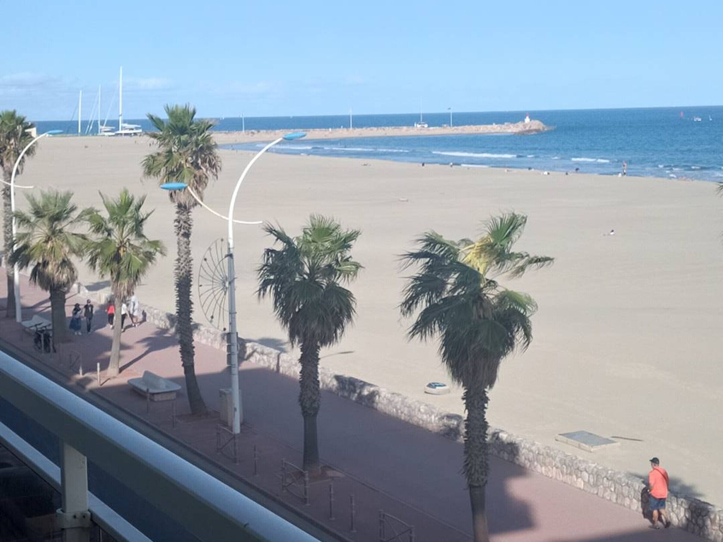 Une plage bordée de palmiers, sous un ciel dégagé.
