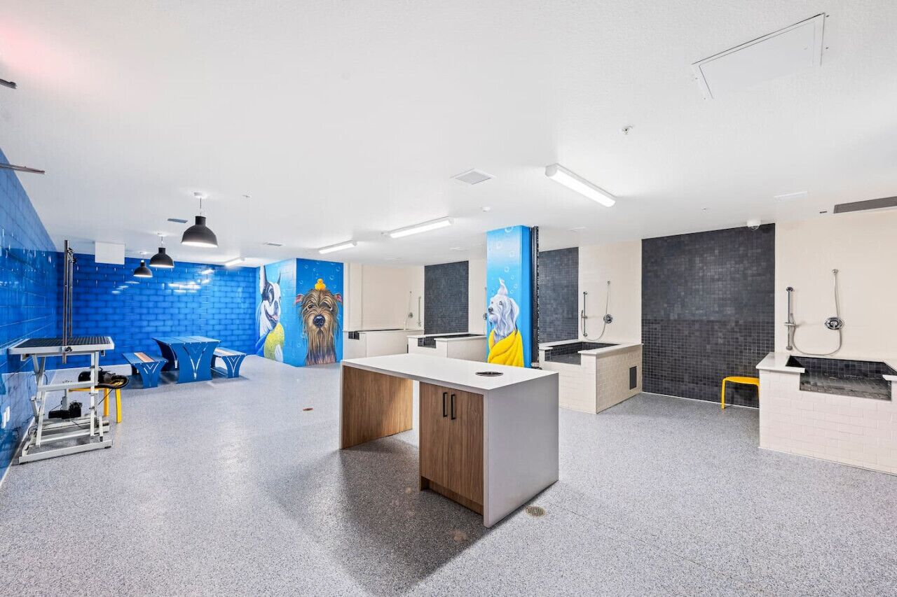 Ein modernes, gut beleuchtetes öffentliches Badezimmer mit blau-weißen Fliesen, einer zentralen Theke und einem Wandbild mit Hundemotiv.