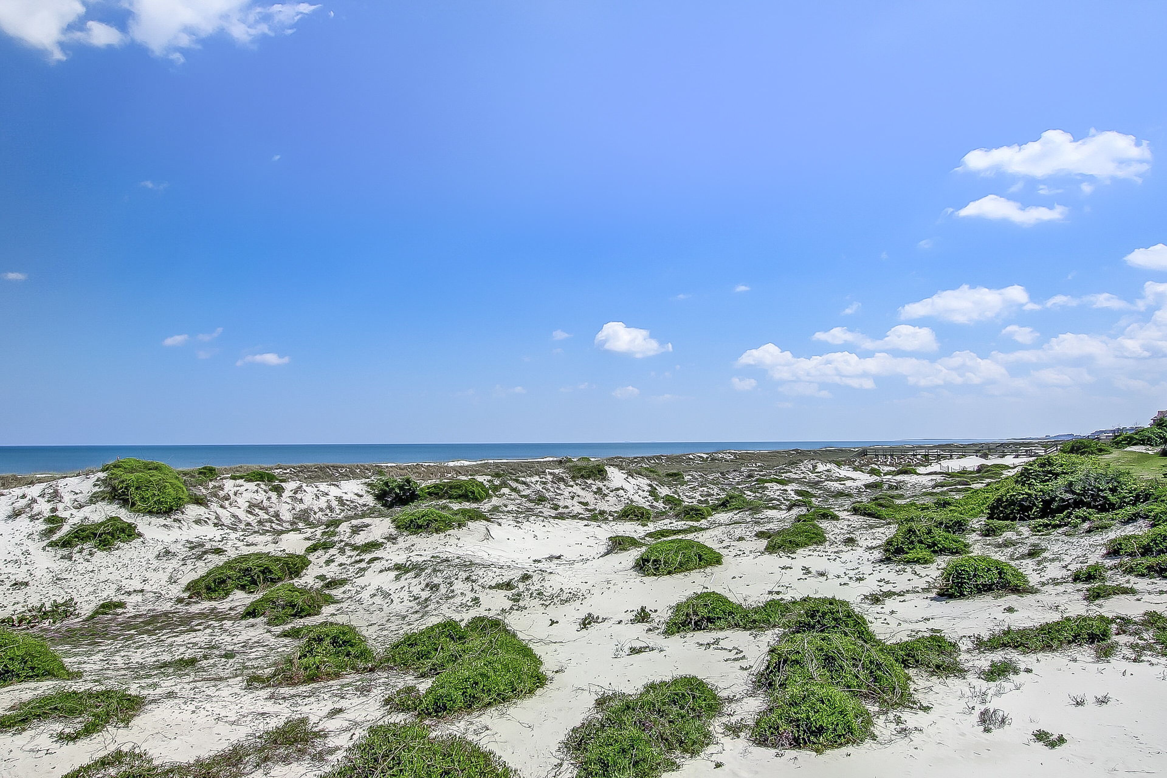 A beach with sand dunes and sparse vegetation.