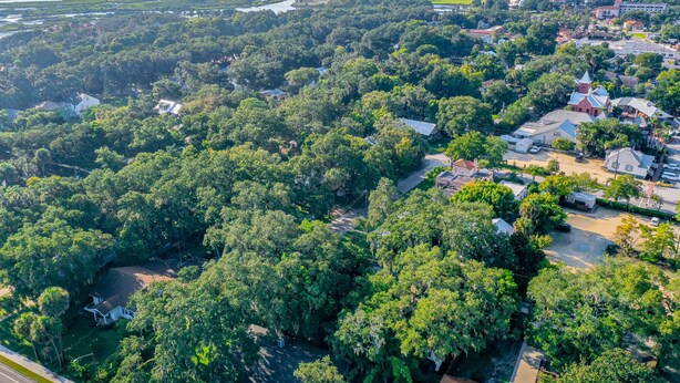 An aerial view of a residential area with dense greenery, a few houses, and a bridge in the background. - Extraordinary Old Florida Home With Designer Interior & Backyard Treehouse (St. Augustine)