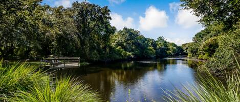 Una vista tranquila a la orilla del río, con un puente de madera, abundante vegetación y una superficie acuática en calma.