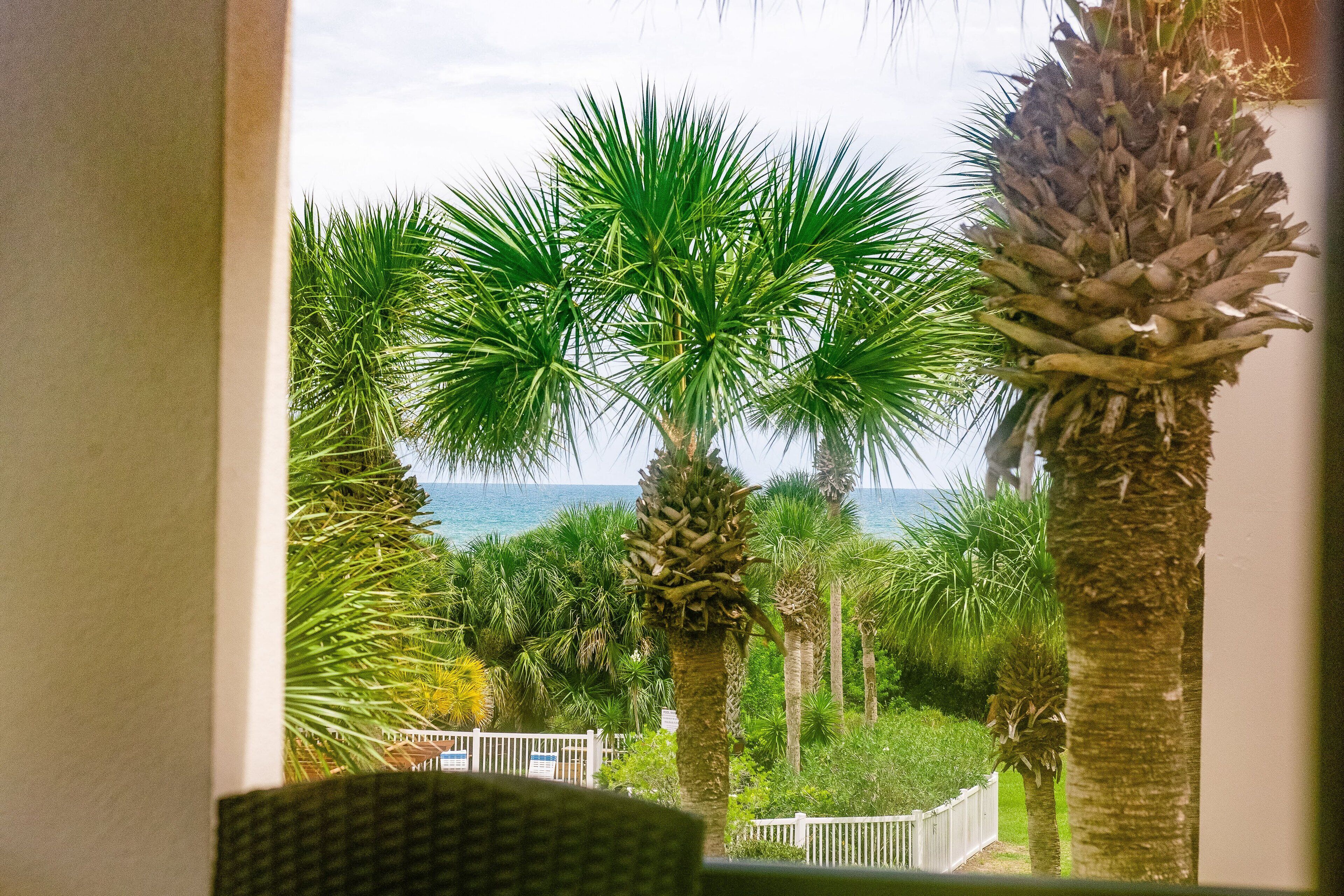 A balcony with a view of the sea and palm trees.