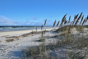 Beach nearby - Fantastic Home With Views of Sunrises, Sunsets, & Dolphins + Wifi & Shared Pool (St. Augustine)