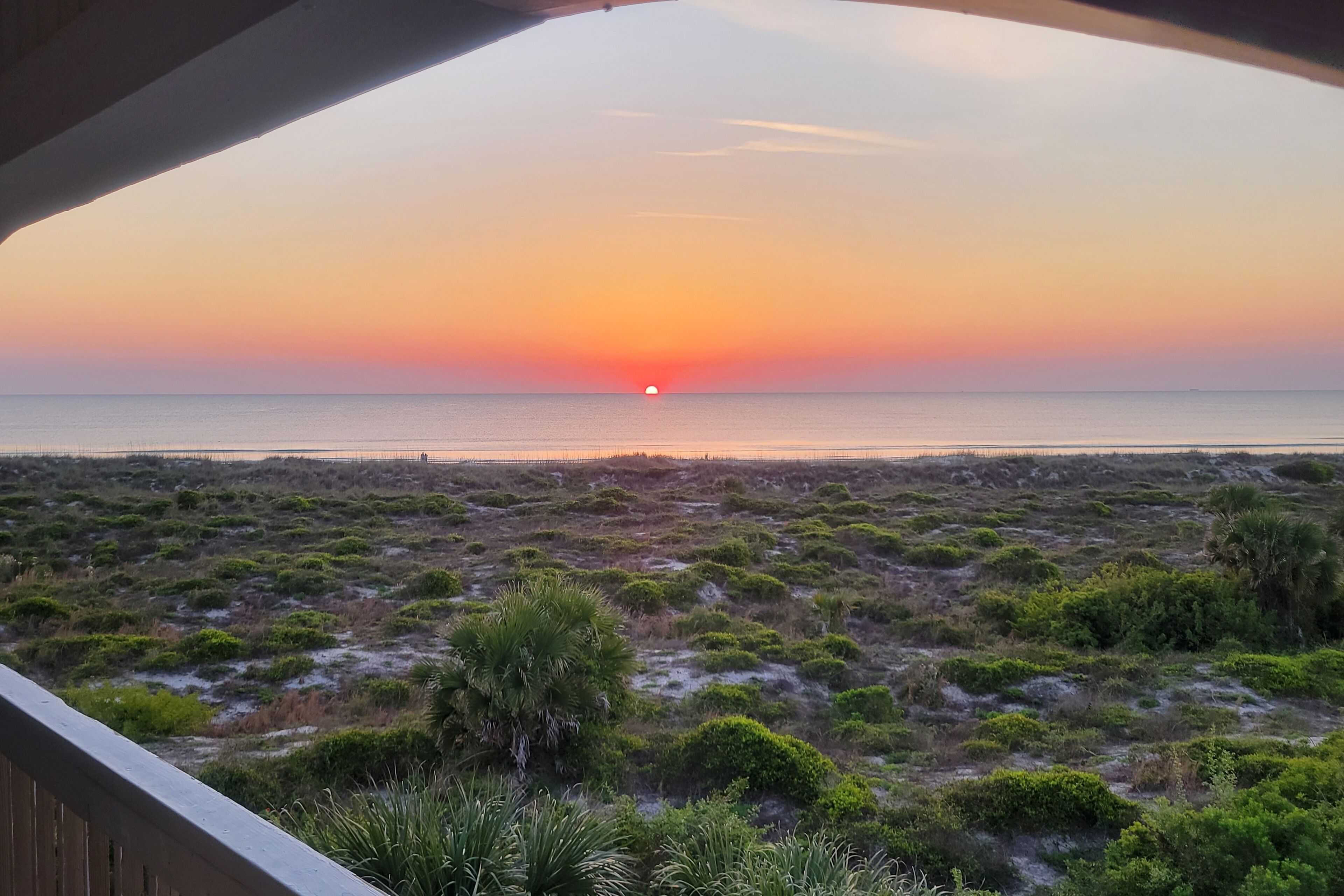 Vista d'un capvespre des d'una zona coberta amb vista a una platja i vegetació escassa.