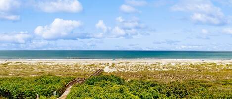 Vista de playa con un sendero que conduce a la orilla, rodeado de vegetación.