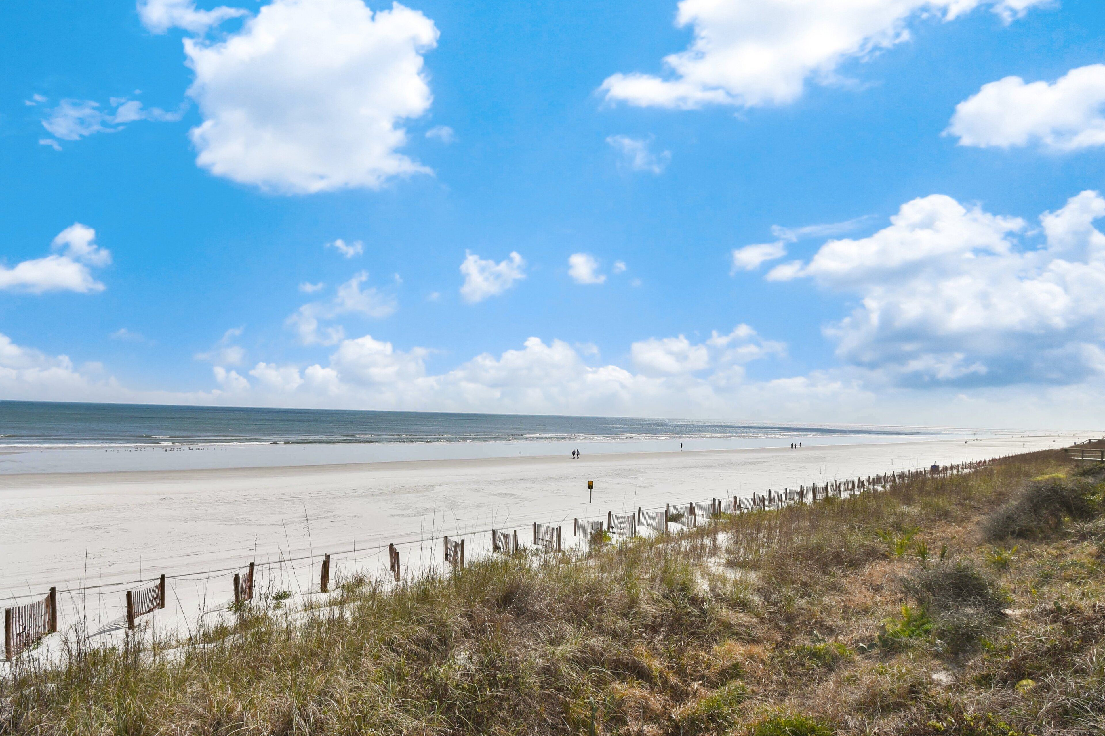 A beach with a wooden fence and grassy dunes.