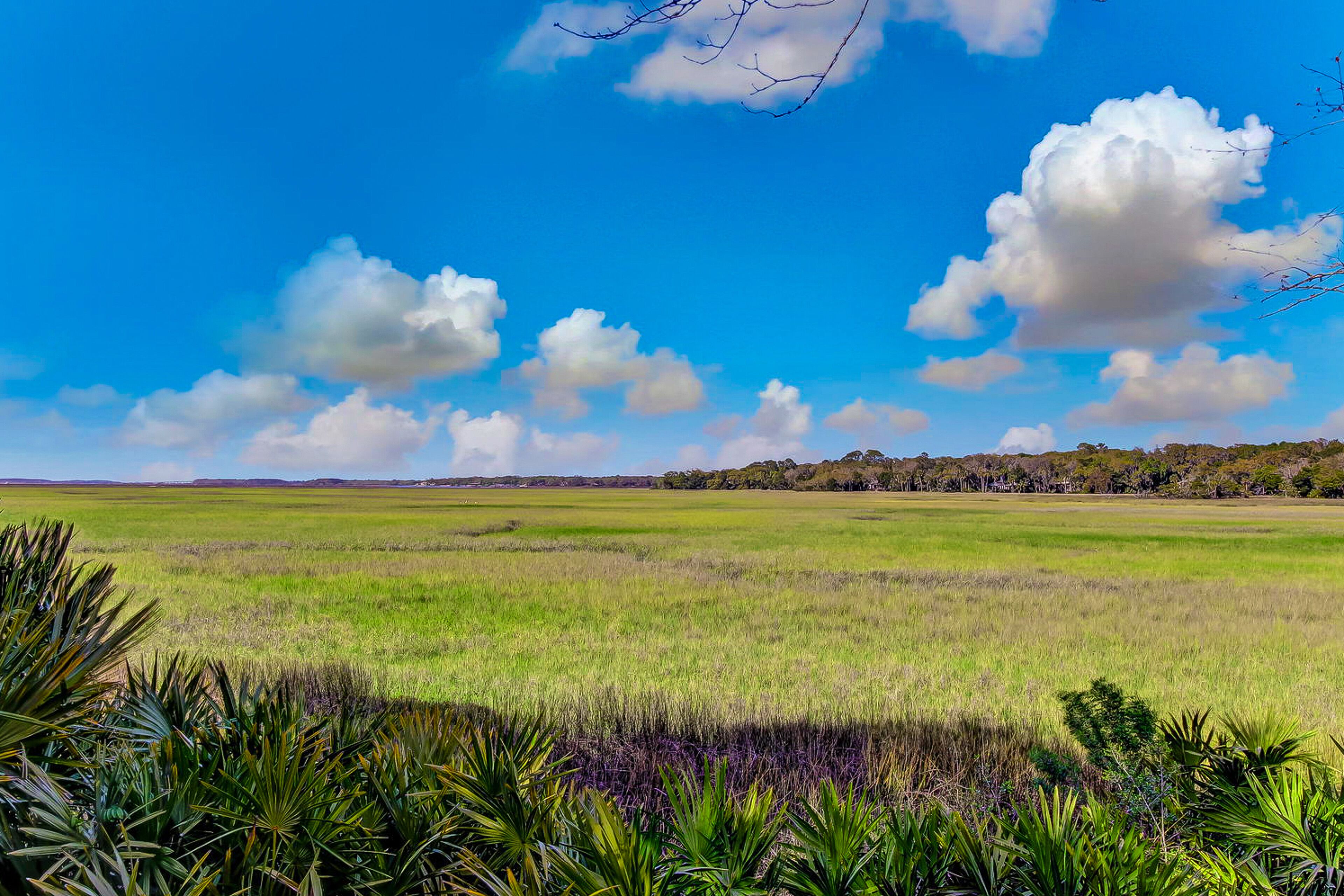 Een uitgestrekt, open veld met een helderblauwe lucht en verspreide wolken.