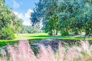 Un parcours de golf doté d’un gazon bien entretenu, d’arbres et d’herbes hautes.