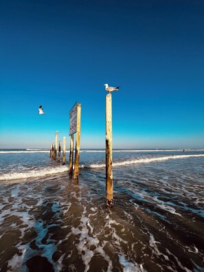 Am Strand
