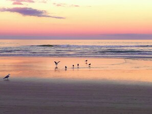 On the beach - Family-friendly 2-bedroom beach-front condo! (New Smyrna Beach)