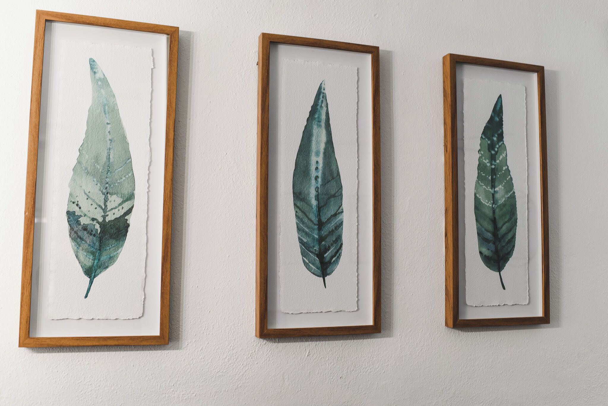 Drei gerahmte Pflanzenbilder an einer Wand.