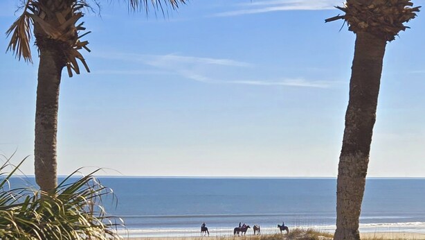 Eine Strandansicht mit Palmen und freiem Blick auf den Ozean.