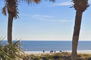 A beach scene with palm trees and a clear view of the ocean. - Oceanfront Condo With Resort Amenities, Beach Access and Pool (St. Augustine)