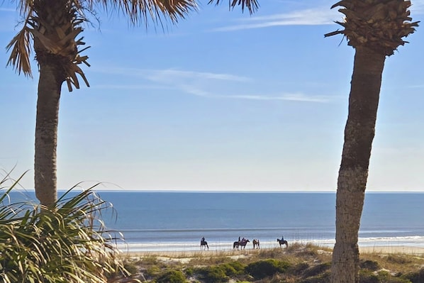 Beach nearby - Oceanfront Condo With Resort Amenities, Beach Access and Pool (St. Augustine)