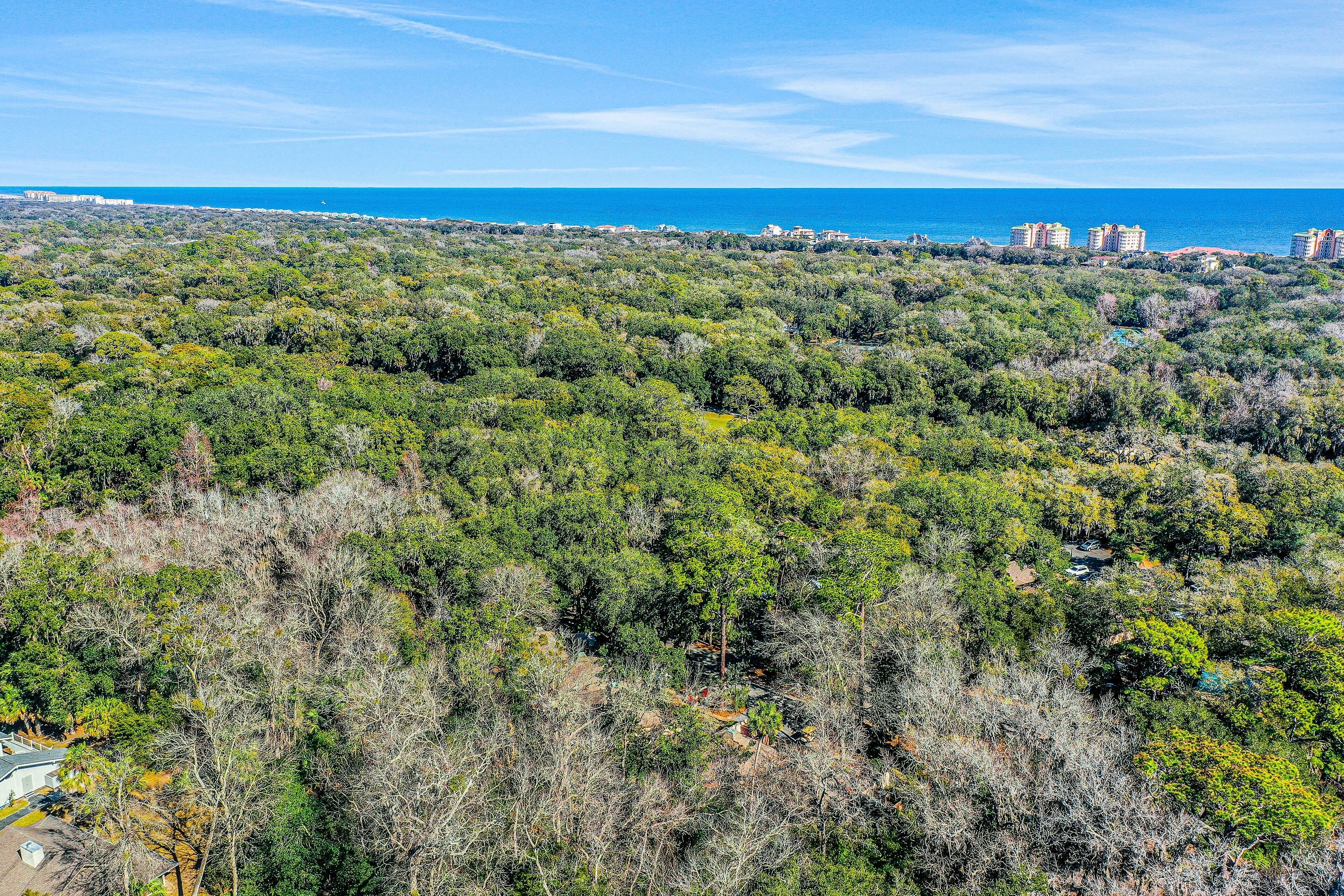 A coastal area with dense greenery and buildings in the distance.