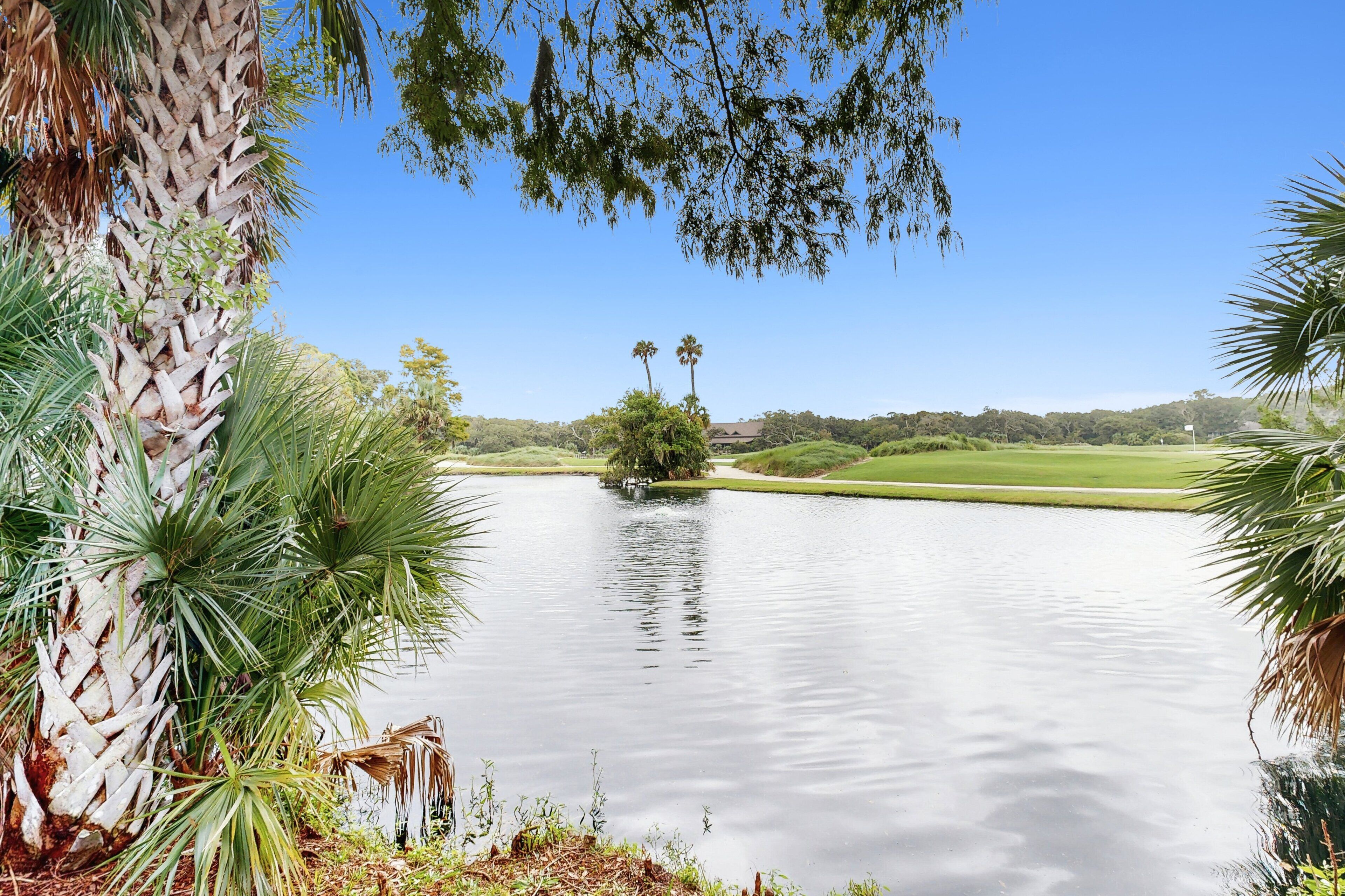 A serene lake with palm trees and a golf course in the background.