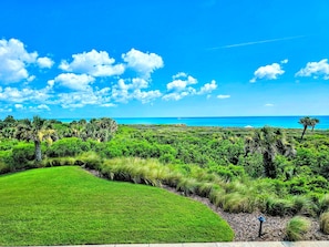Un paisaje exuberante y verde con cielo azul despejado y vista al océano.