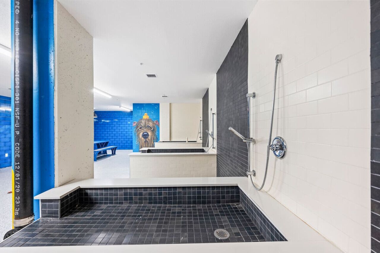 A modern bathroom with a black-tiled shower area, a white bathtub, and a blue accent wall.