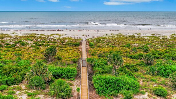 Una playa con un paseo marítimo de madera que conduce a la orilla, rodeada de abundante vegetación.