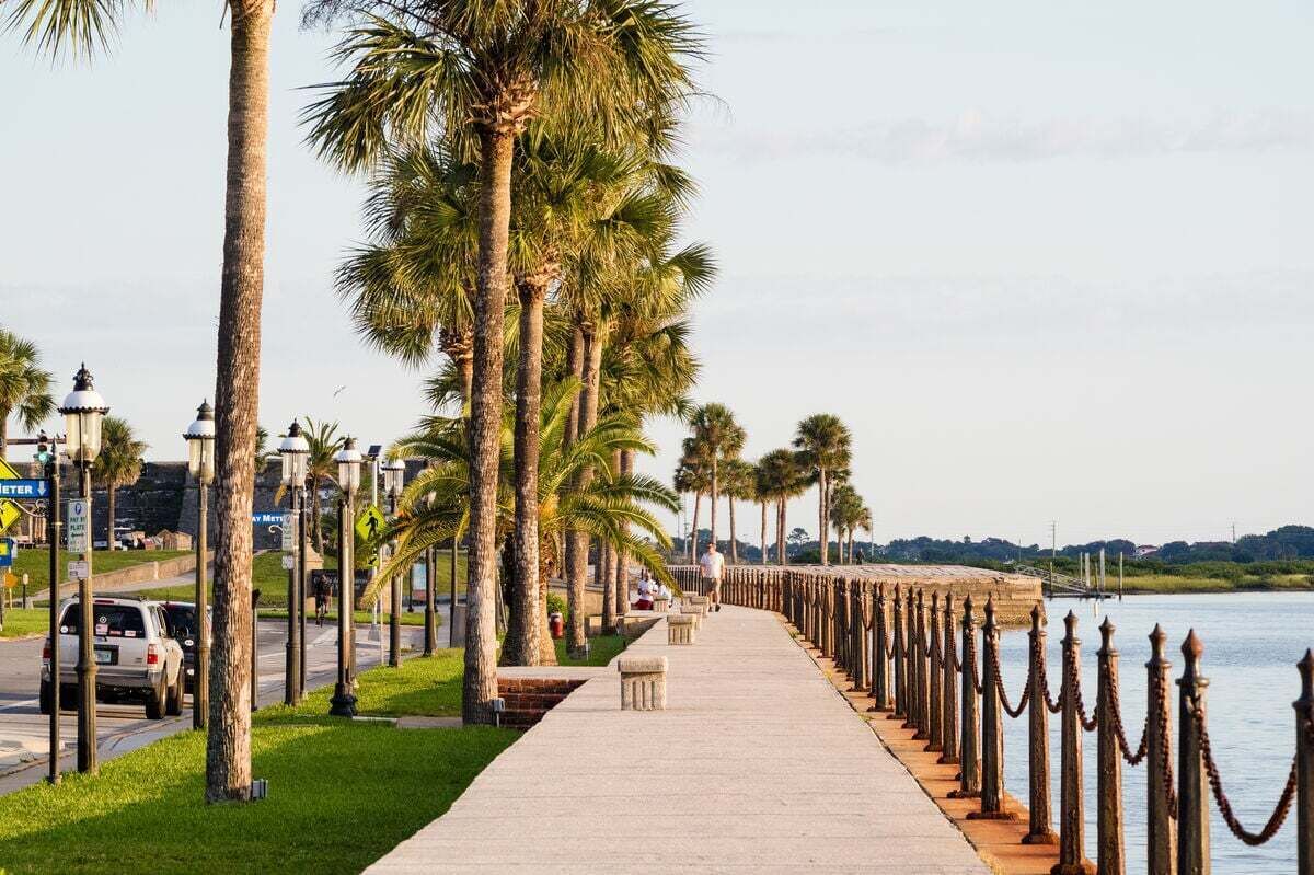 A waterfront promenade with palm trees, a paved walkway, and a chain barrier along the water's edge.