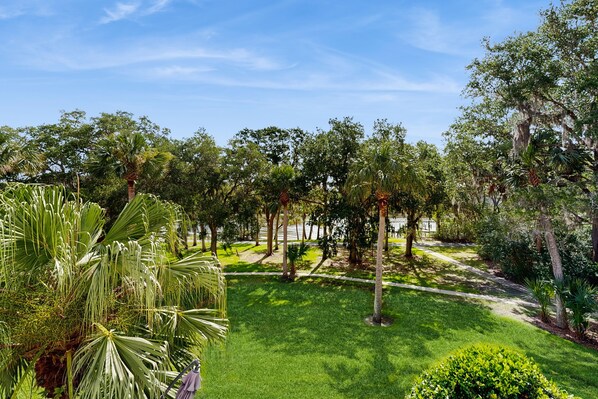 A well-maintained garden with a variety of trees and a clear pathway. - Spacious Townhouse With Private Balcony, Waterview, Pool and Wifi (Palm Coast)