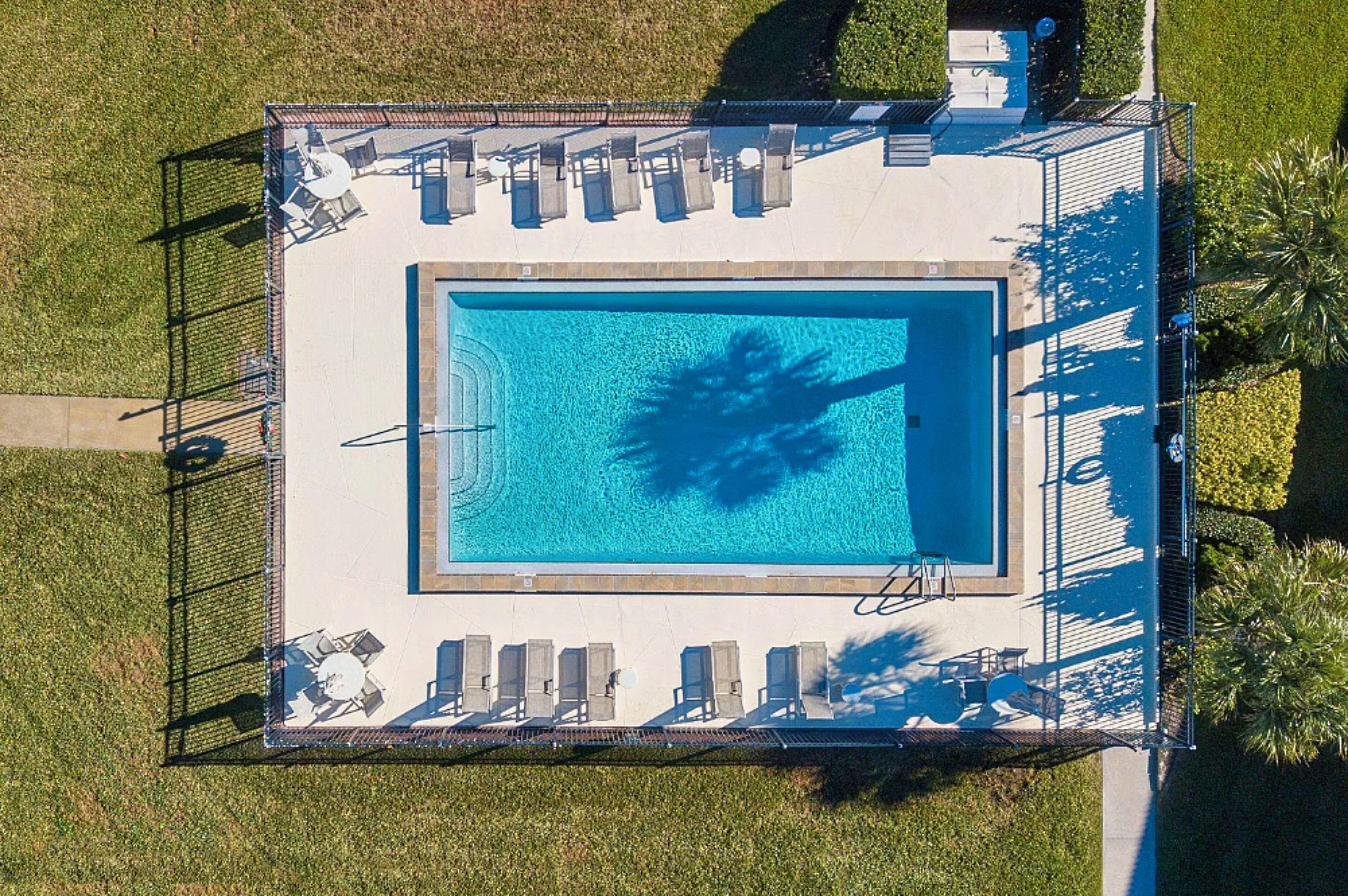 An aerial view of a rectangular swimming pool surrounded by a fence, with lounge chairs and a palm tree visible.