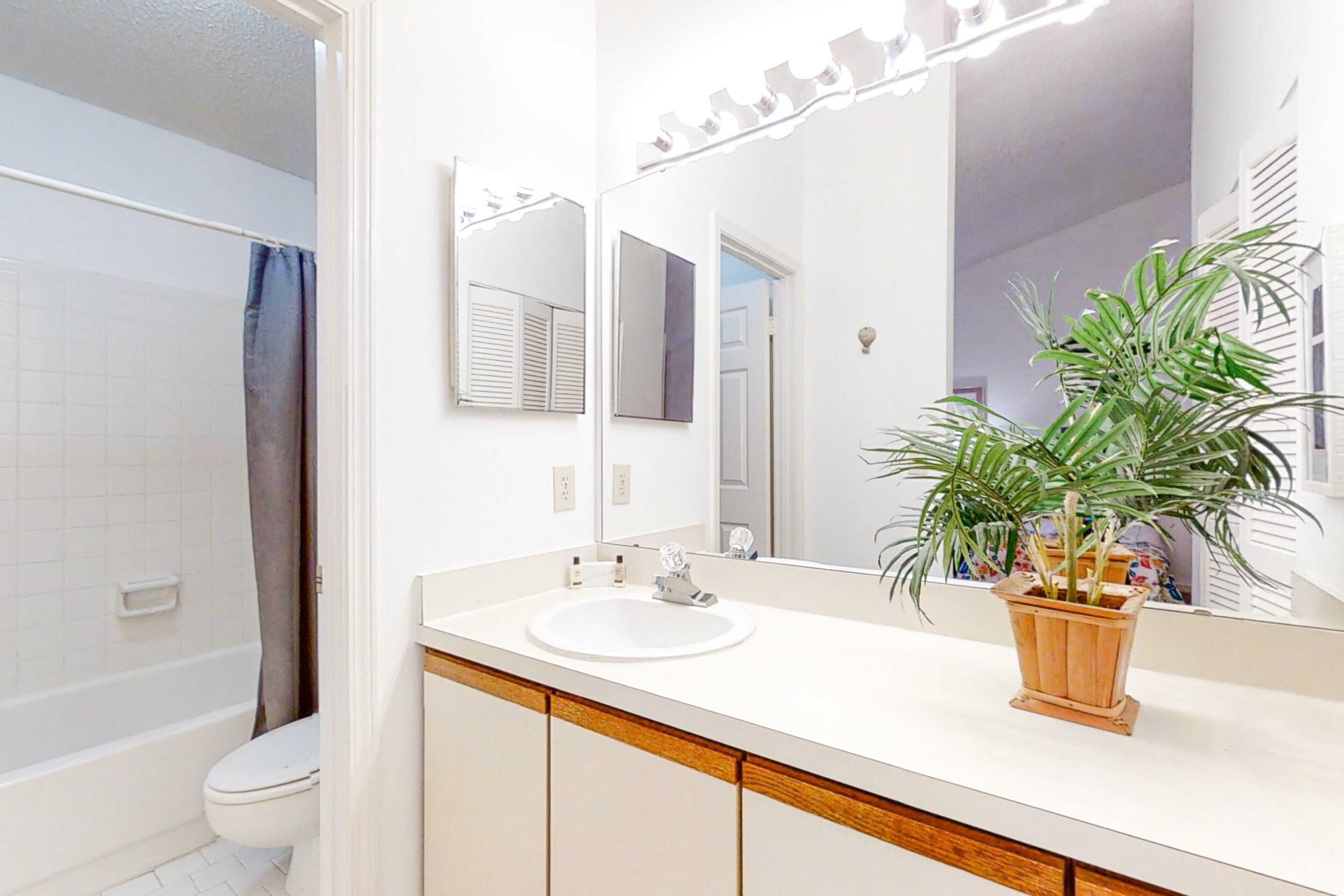 Un baño con lavamanos blanco, tocador de madera, un espejo y una planta en maceta.