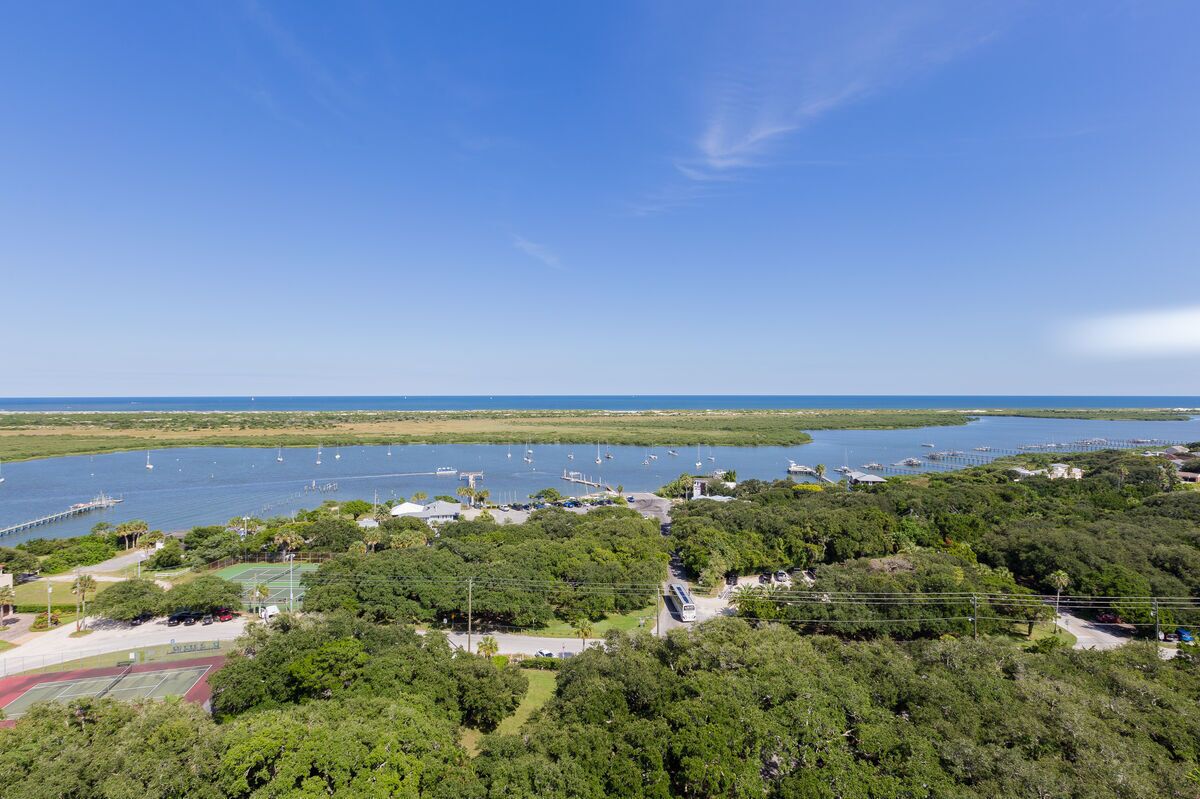 A coastal area with a marina, lush greenery, and a clear blue sky.