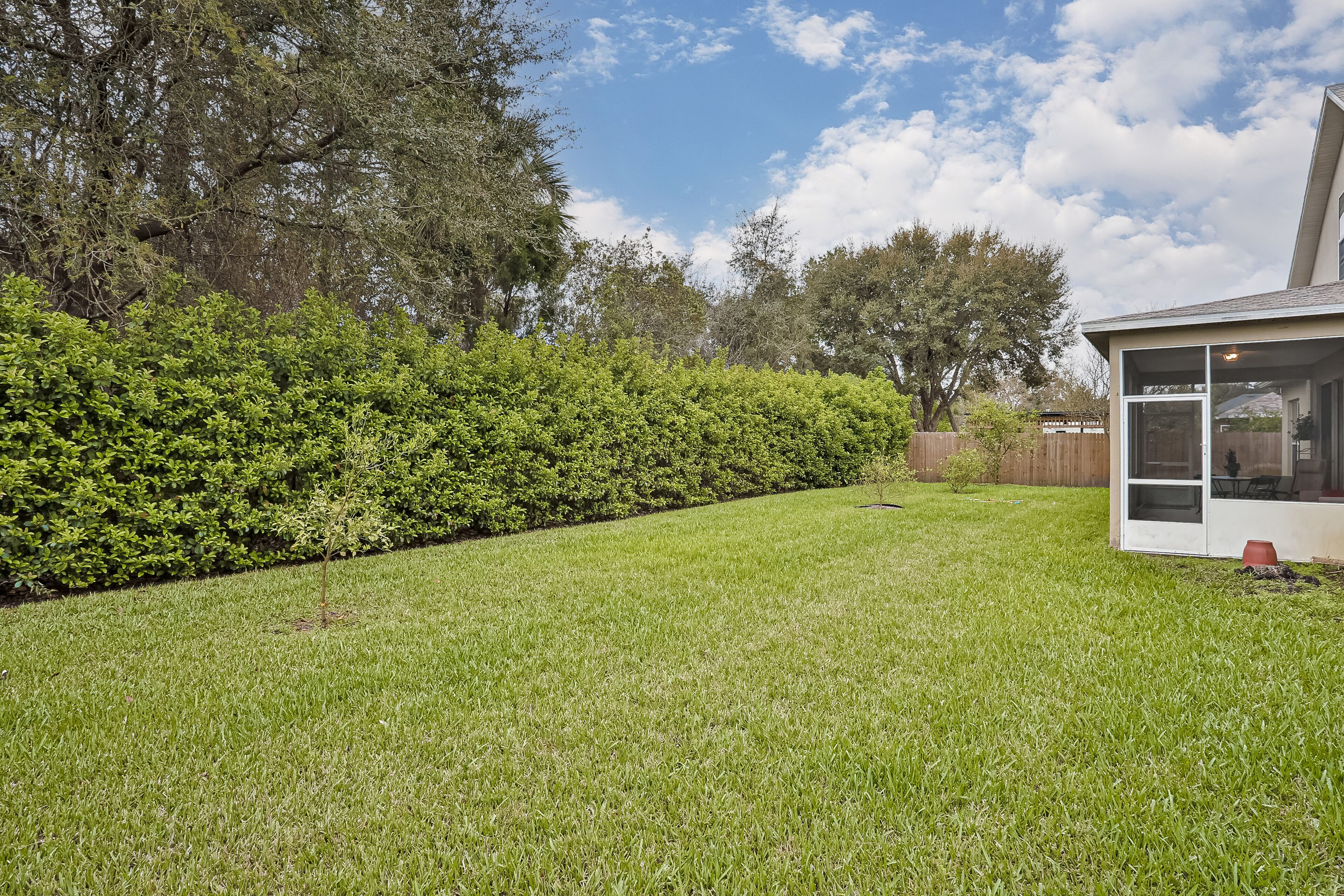 A well-maintained backyard with a neatly trimmed hedge, a wooden fence, and a small structure with glass doors.