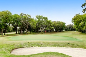 Golf - Welcoming Home With Golf Course View, High-speed Wifi, and Central AC (St. Simons Island)