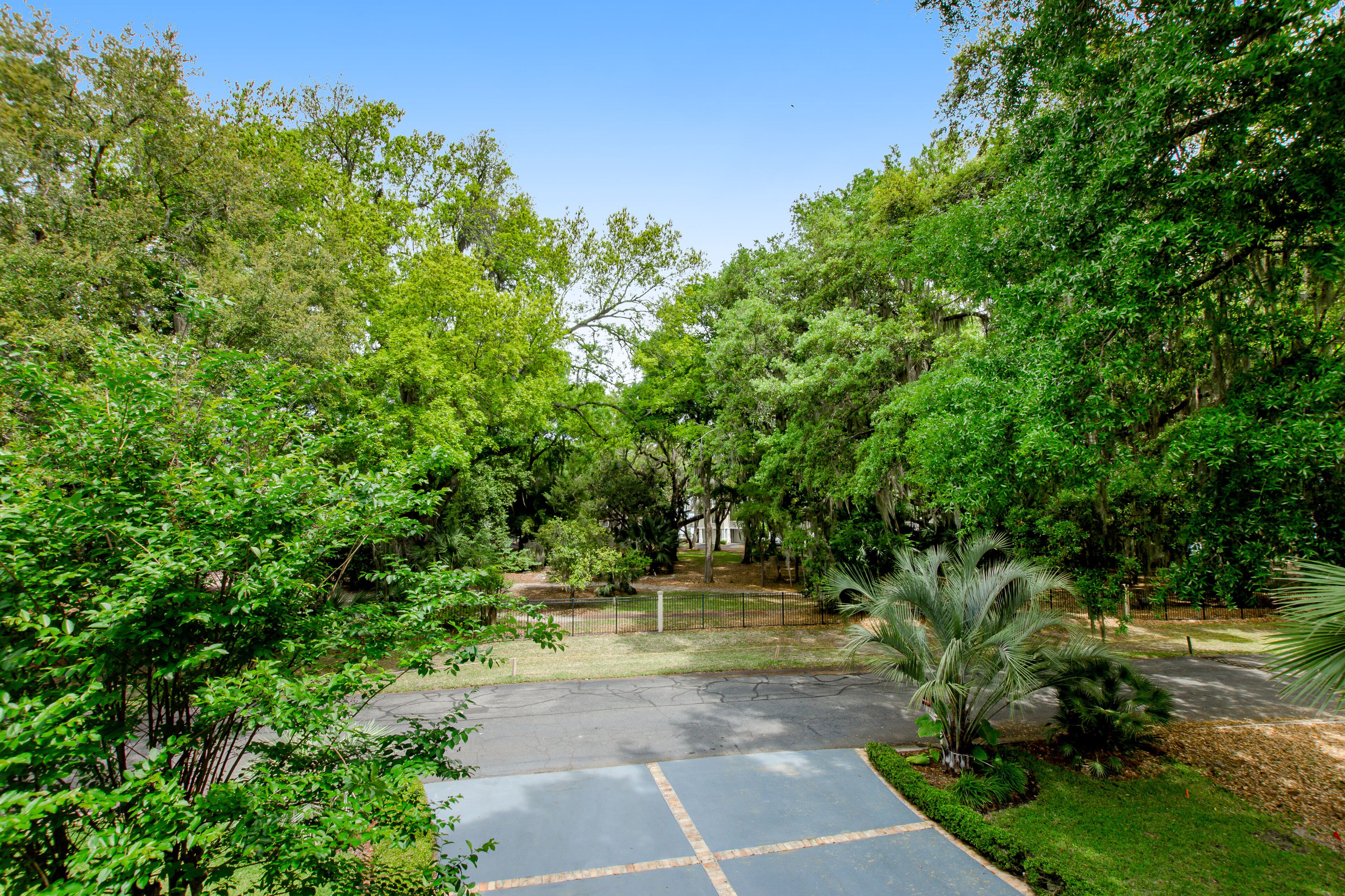 A paved pathway surrounded by lush greenery and trees.