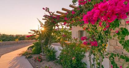 Milis House I, Apartment