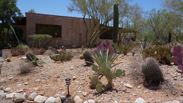 A desert landscape with cacti and a brick building. - Quintessential Tucson - 2BR/2BA Entire House - Lower Foothills (Tucson)