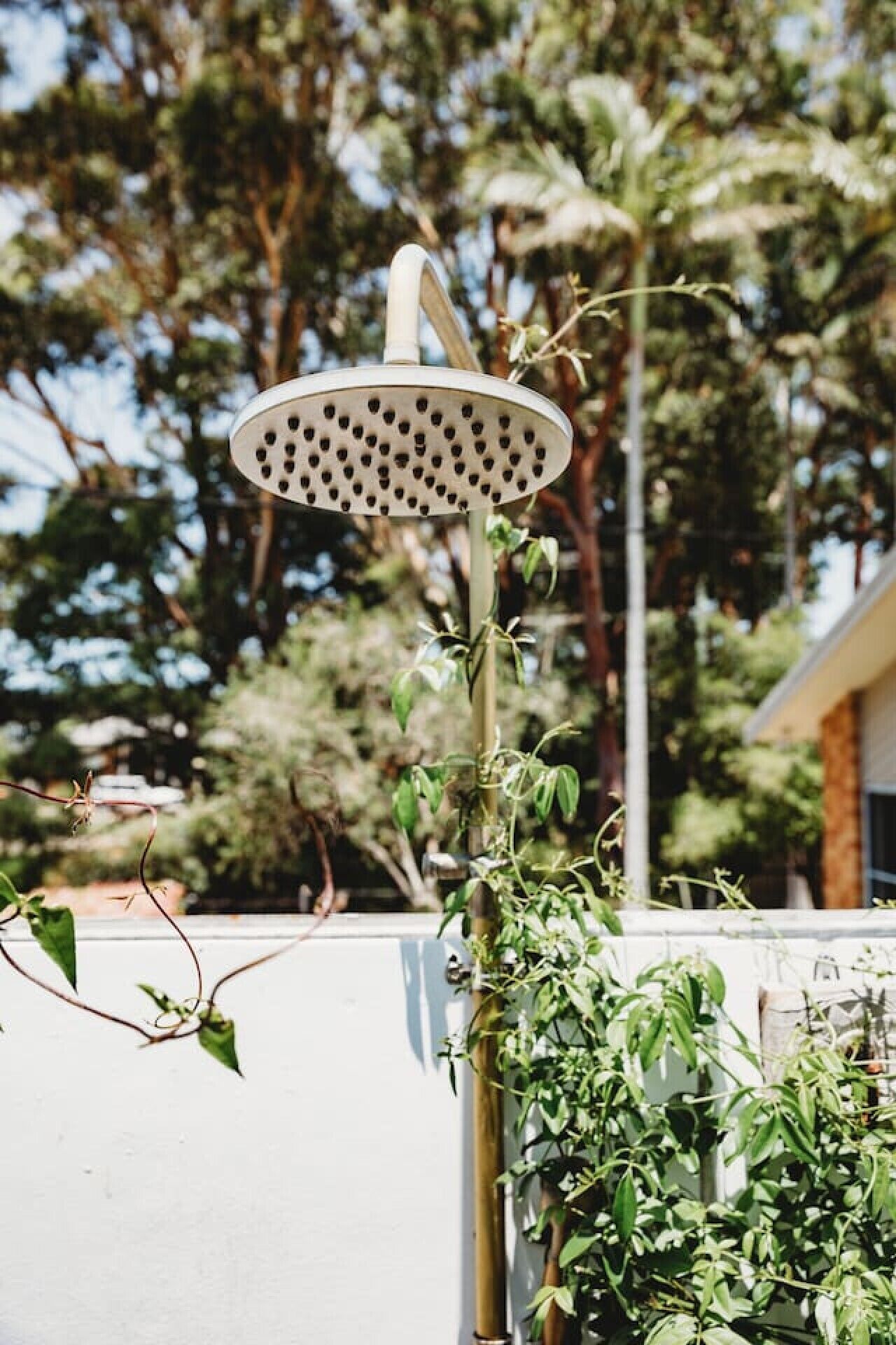 A garden with a showerhead mounted on a post, surrounded by greenery and trees.