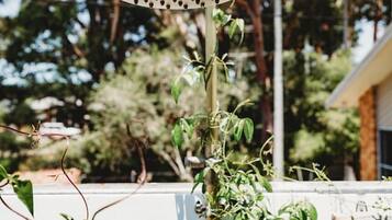 A garden with a showerhead mounted on a post, surrounded by greenery and trees.