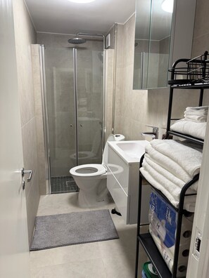 Hair dryer, towels, toilet paper