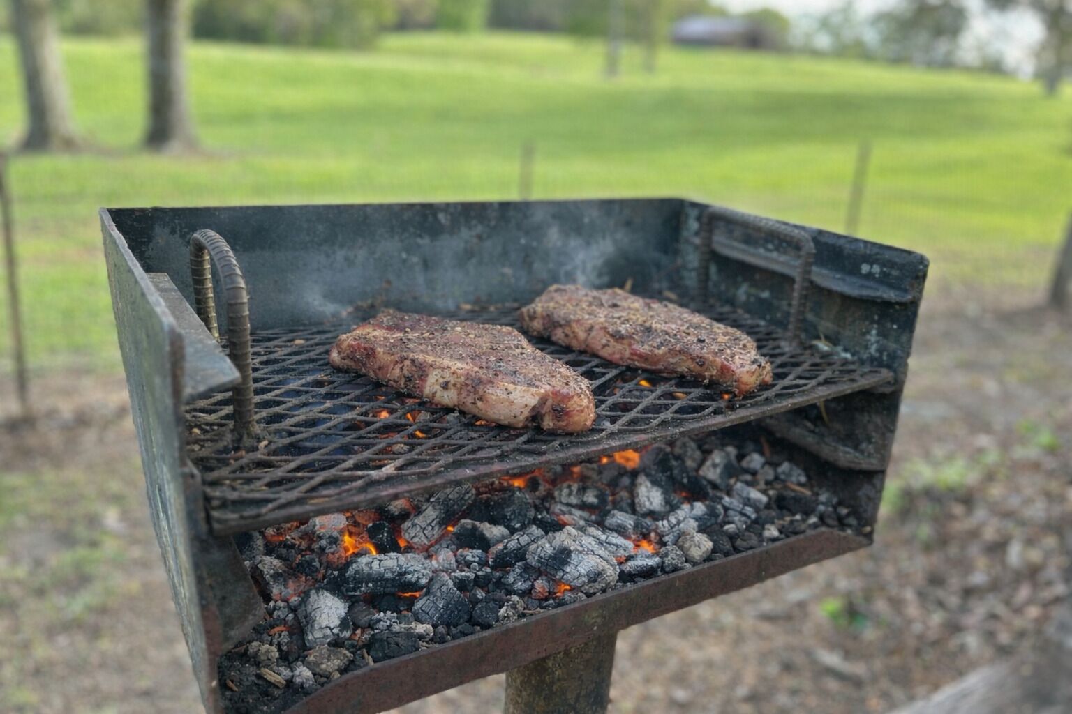 Ein Grill mit zwei Steaks, die über Holzkohle zubereitet werden.