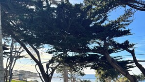 Un balcone con vista sull'oceano, un tavolo con sedie e due sculture a forma di uccelli.