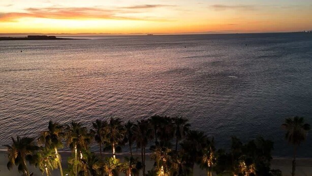 Vista del atardecer sobre un mar tranquilo con palmeras al frente.