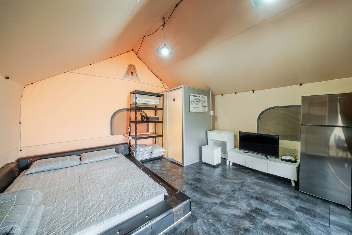 A compact room with a bed, a small desk, a television, and a refrigerator.