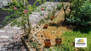 Sınıflandırılmamış resim, 9 üzerinden 4, düğme