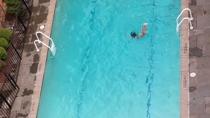 Una piscina rectangular con agua azul cristalina, carriles delimitados y un borde con baldosas a su alrededor.