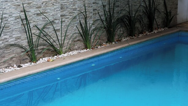 A swimming pool with a stone wall and plants along the edge. - Apartment No. 2, perfectly located with swimming pool (pets welcome) (Ciudad Madero)