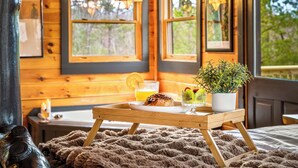 A cozy room with wooden walls, large windows, a wooden table with breakfast items, and a potted plant. - Boutique Smoky Mtn Retreat-Views, Hot Tub, Sauna, EV charger (Sevierville)