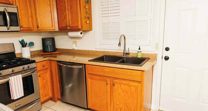 NEW Saguaro Serenity
