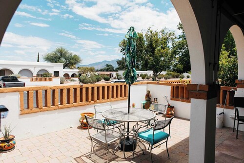NEW Saguaro Serenity