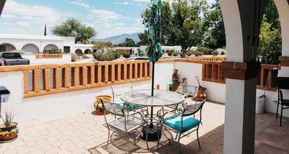 NEW Saguaro Serenity